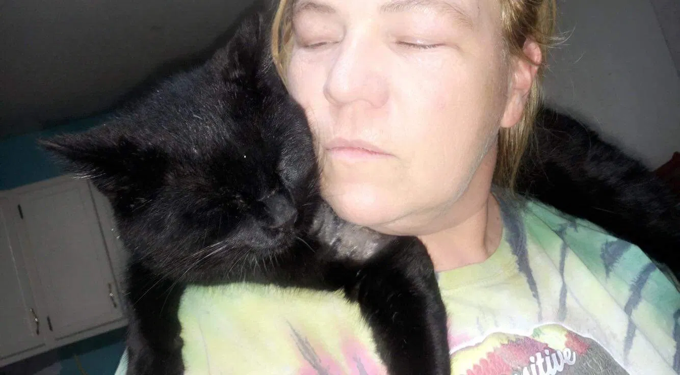 Lost cat in Hillsboro, MO, 63050
