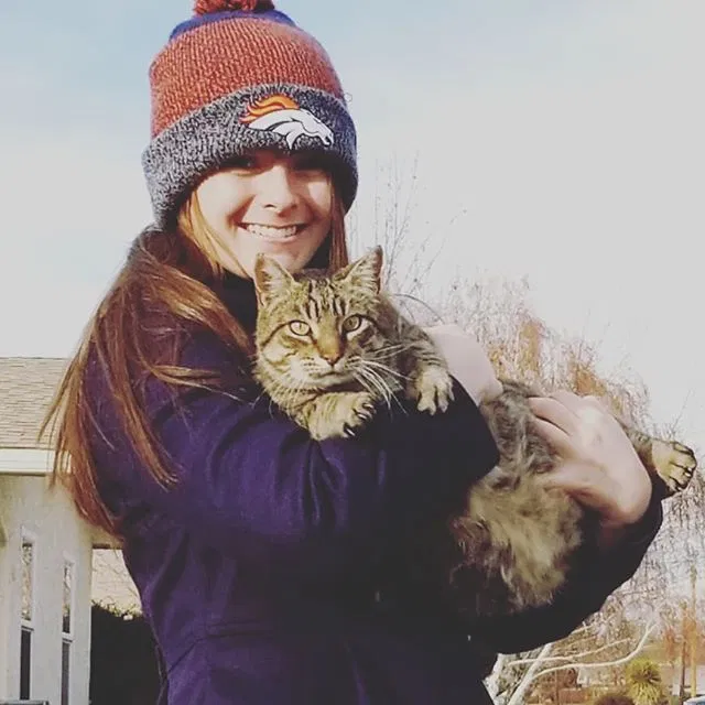 Lost cat in Farmington, NM, 87401