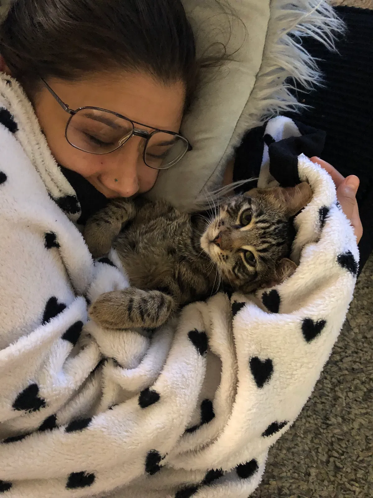 Lost cat in Auburn, CA, 95602