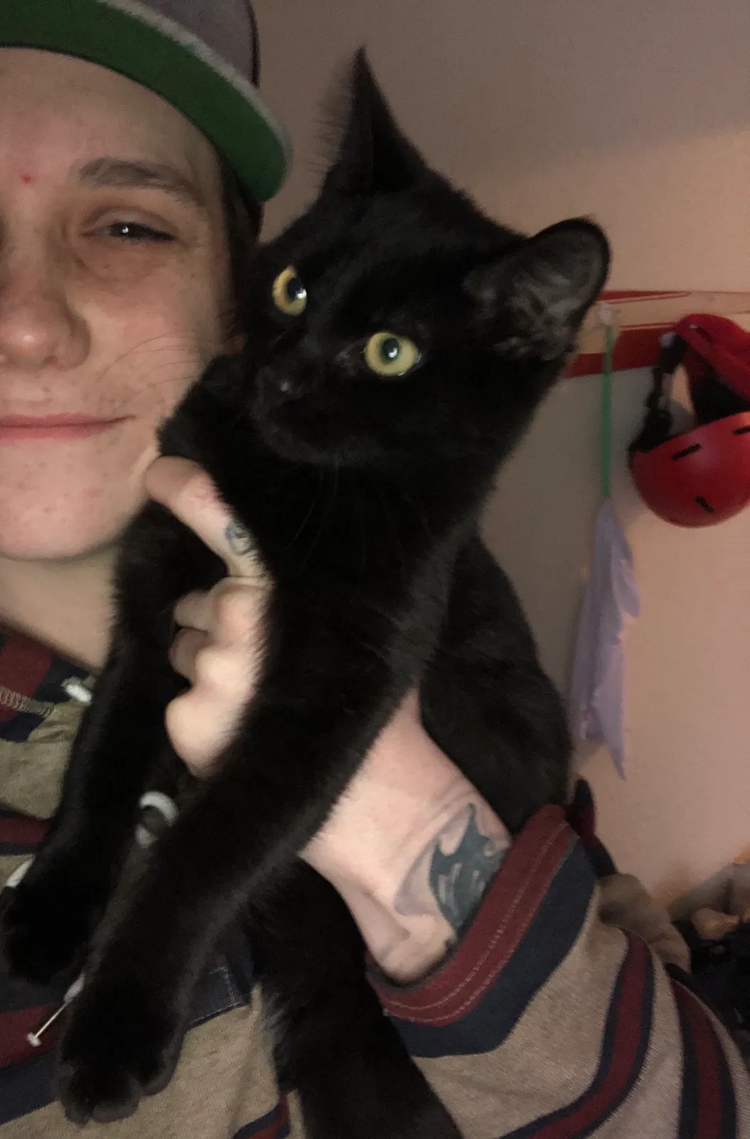 Lost cat in Spokane, WA, 99204