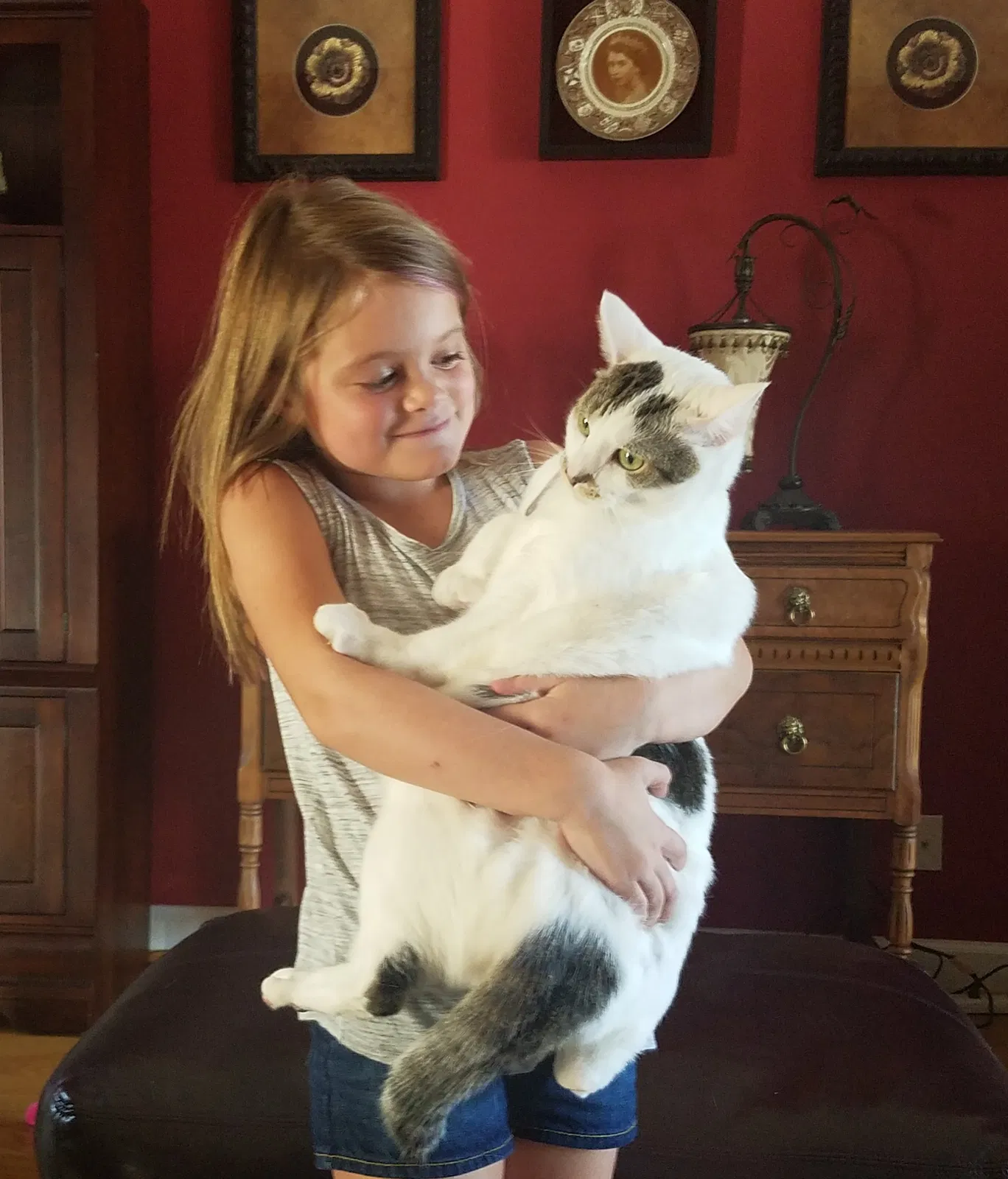 Lost cat in Henrico, VA, 23229