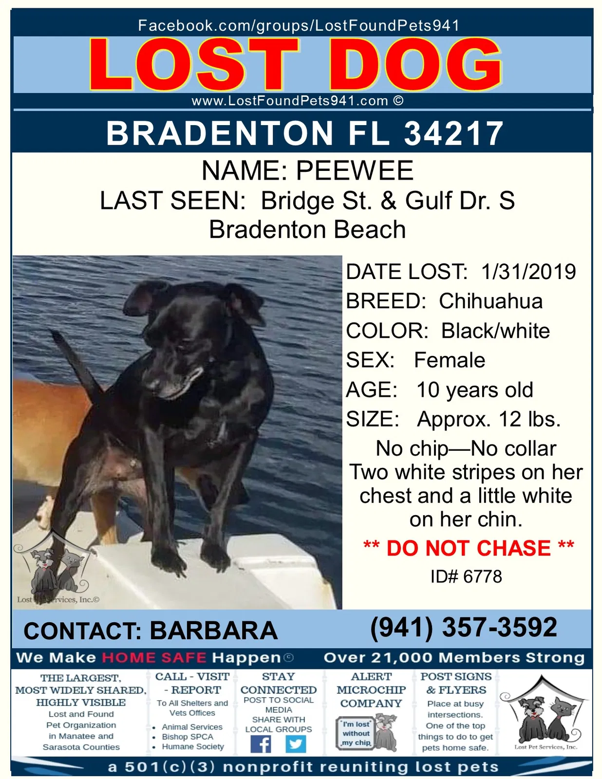 Lost dog in Bradenton Beach, FL, 34217