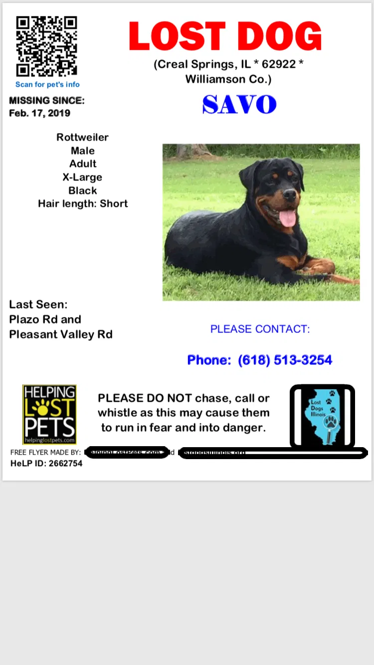 Lost dog in Creal Springs, IL, 62922
