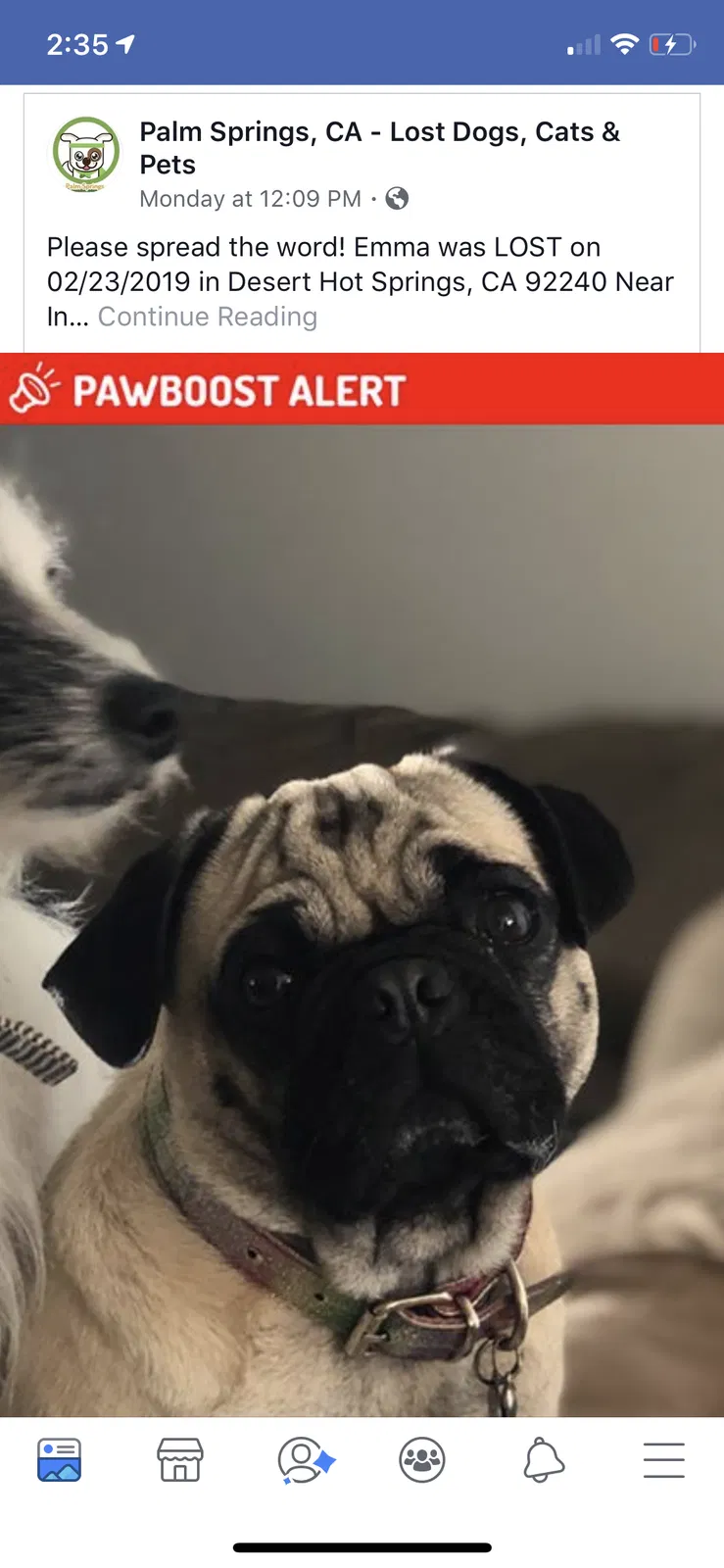 Lost dog in Indio, CA, 92203
