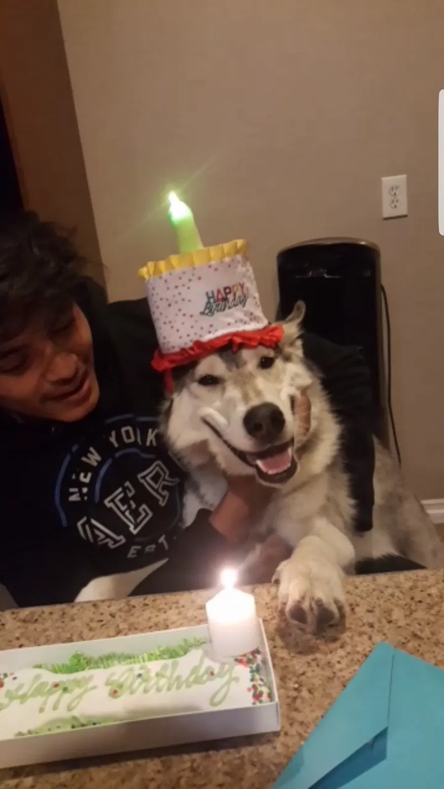 Lost dog in Riverside, CA, 92504