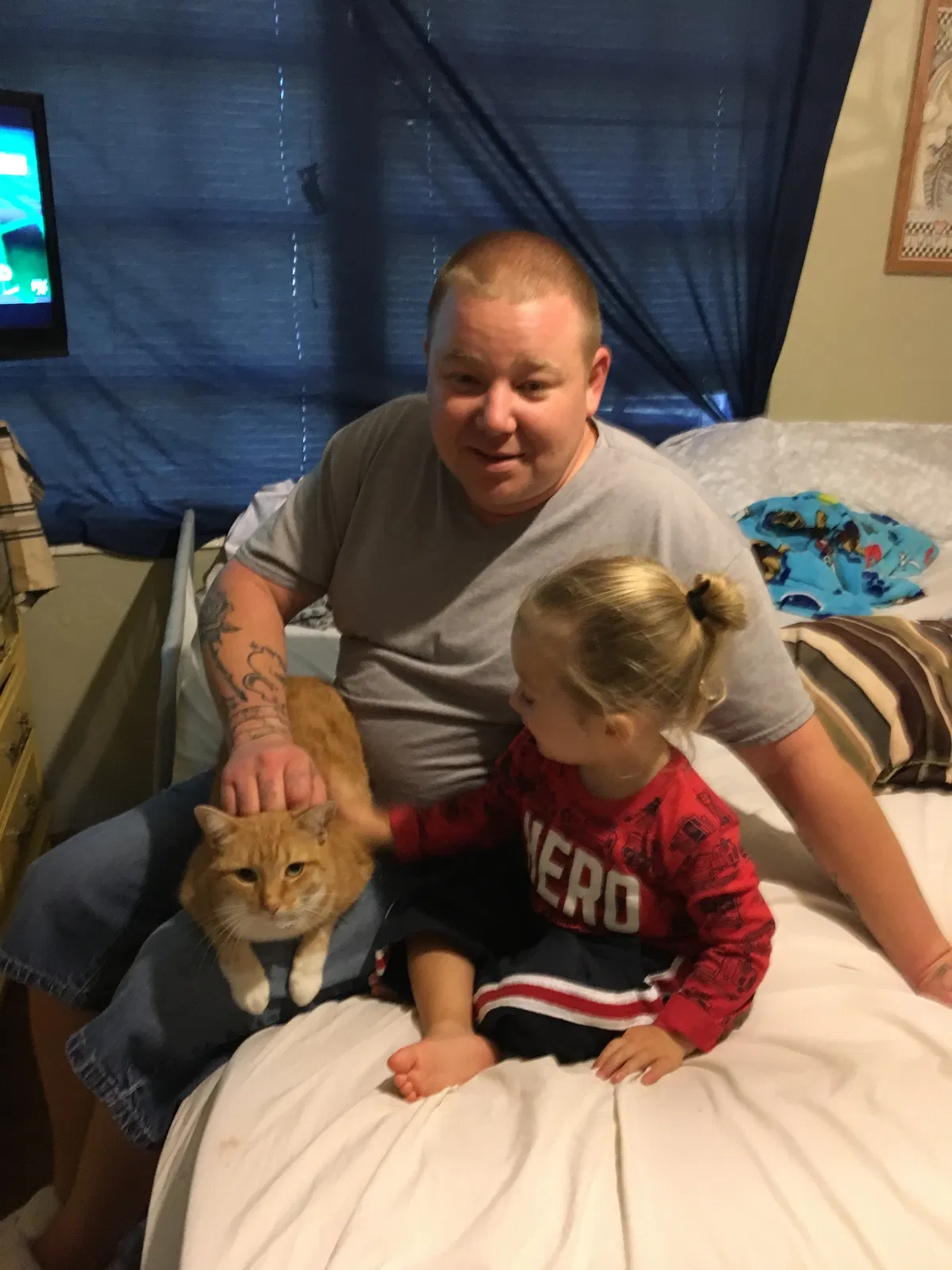 Lost cat in Ocala, FL, 34470