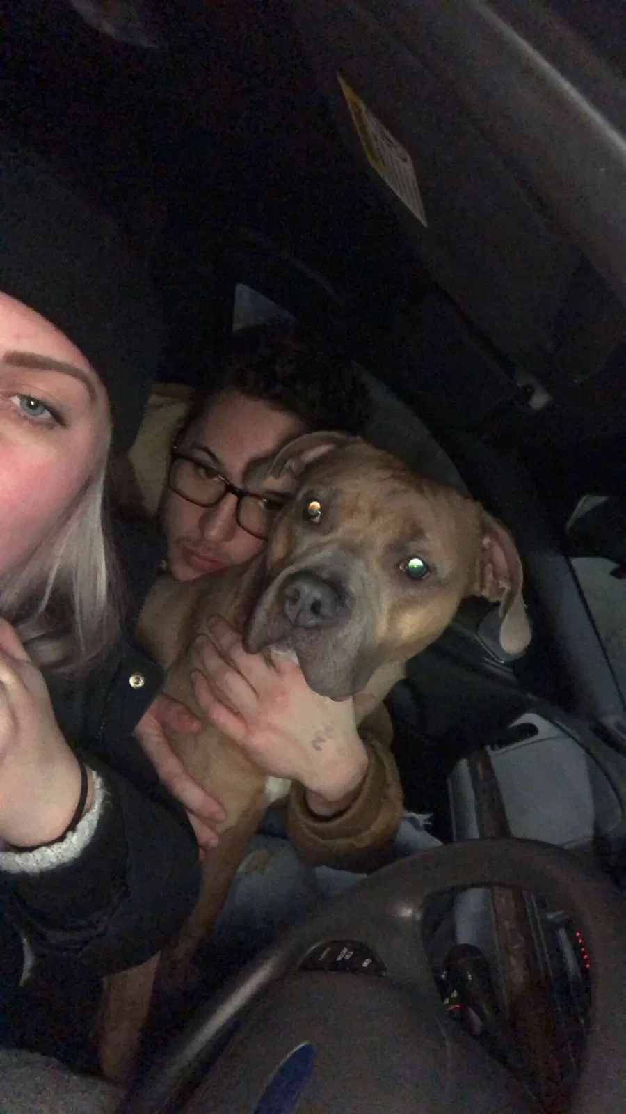 Lost dog in Canton, OH, 44705