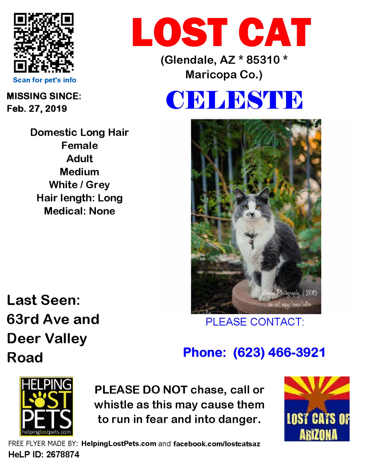 Lost cat in Glendale, AZ, 85310