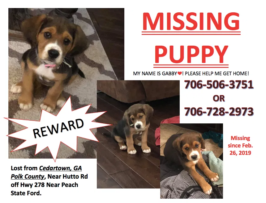 Lost dog in Cedartown, GA, 30125