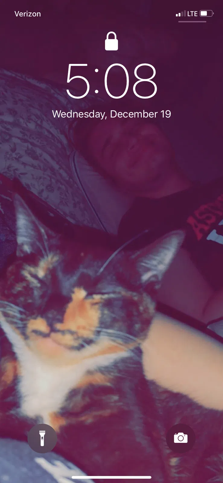 Lost cat in Unknown, GA, 30186