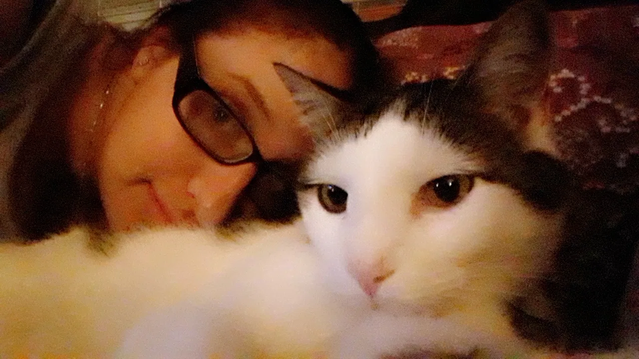 Lost cat in Charleston, SC, 29407
