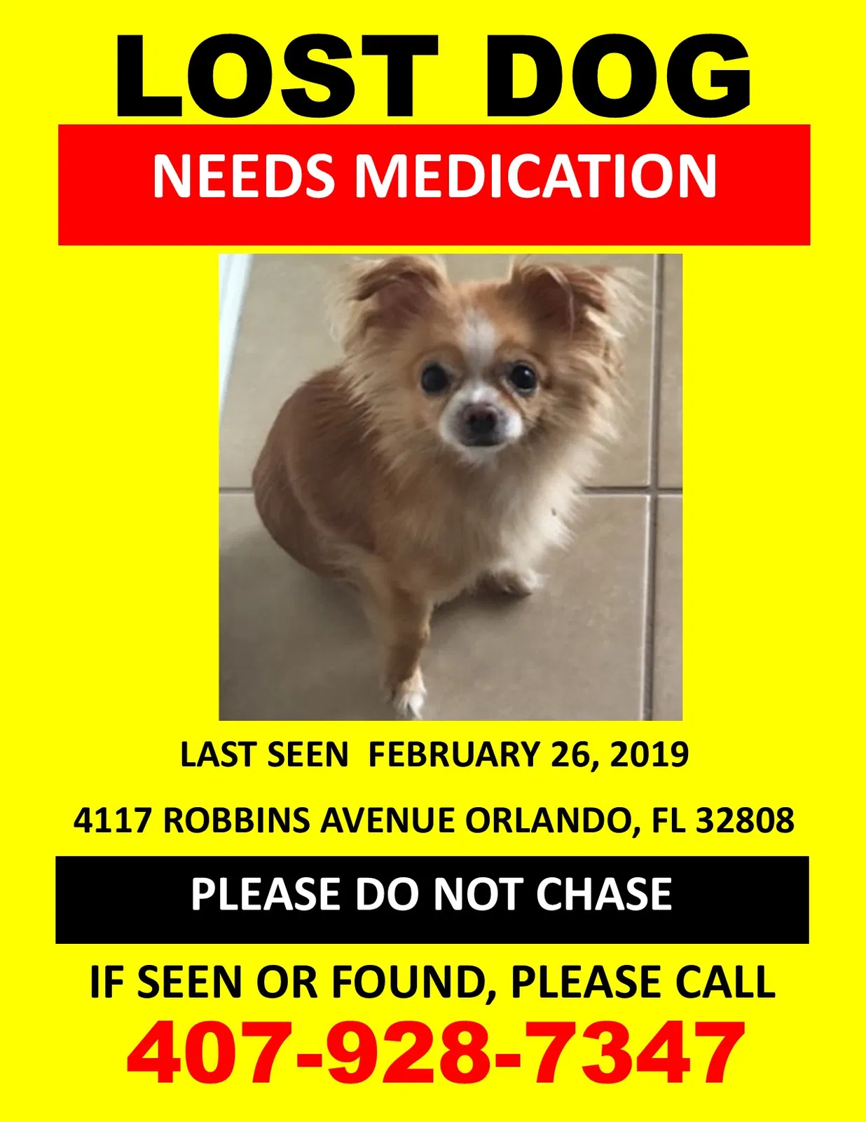 Lost dog in Orlando, FL, 32808