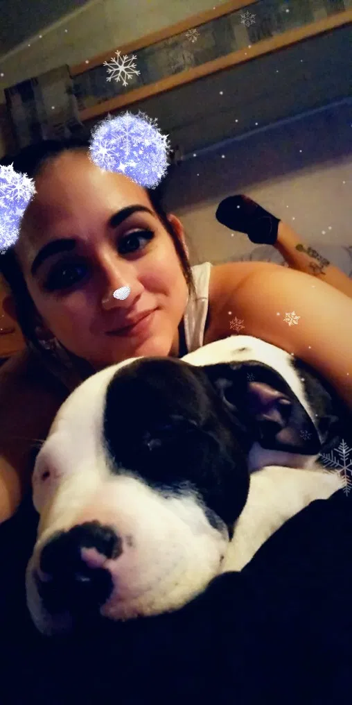 Lost dog in Wichita Falls, TX, 76306