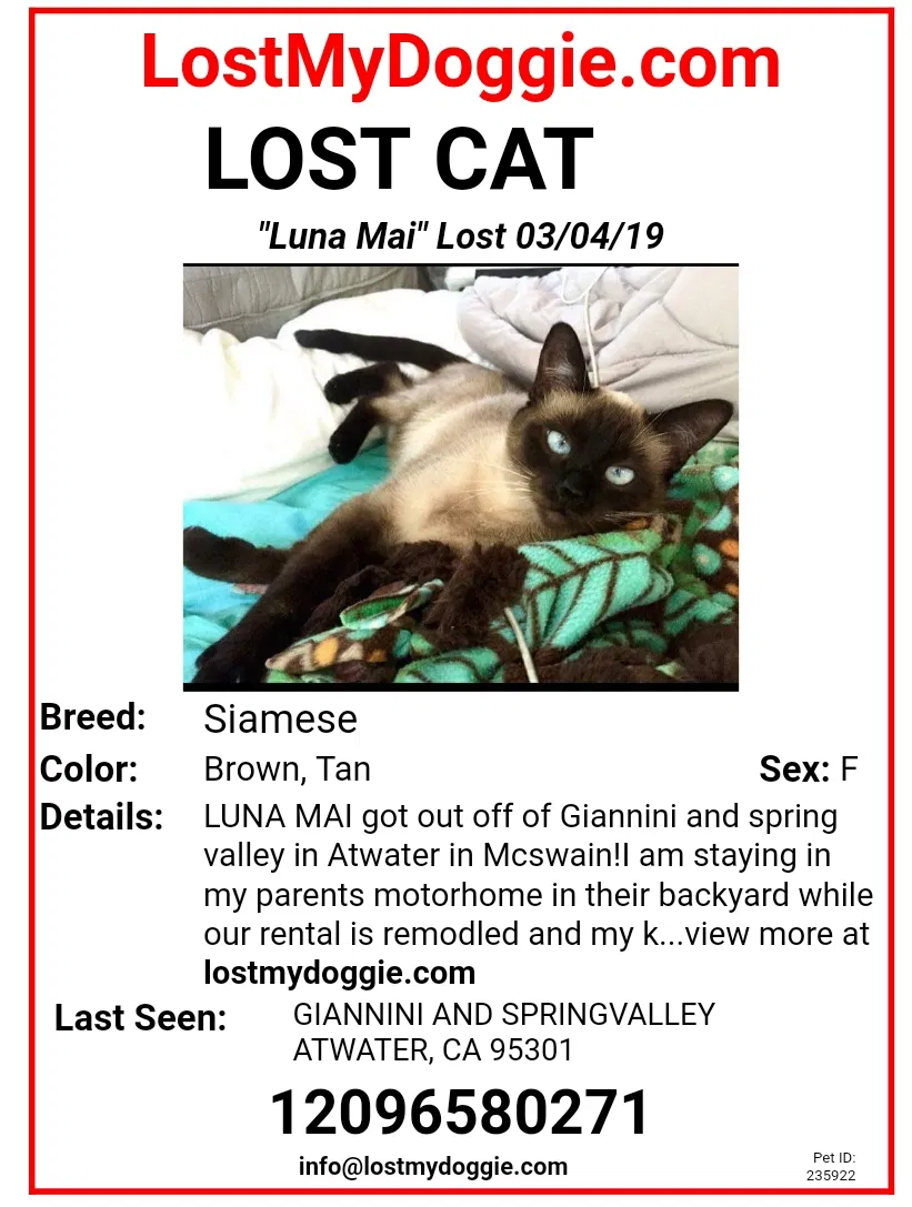 Lost cat in Atwater, CA, 95301