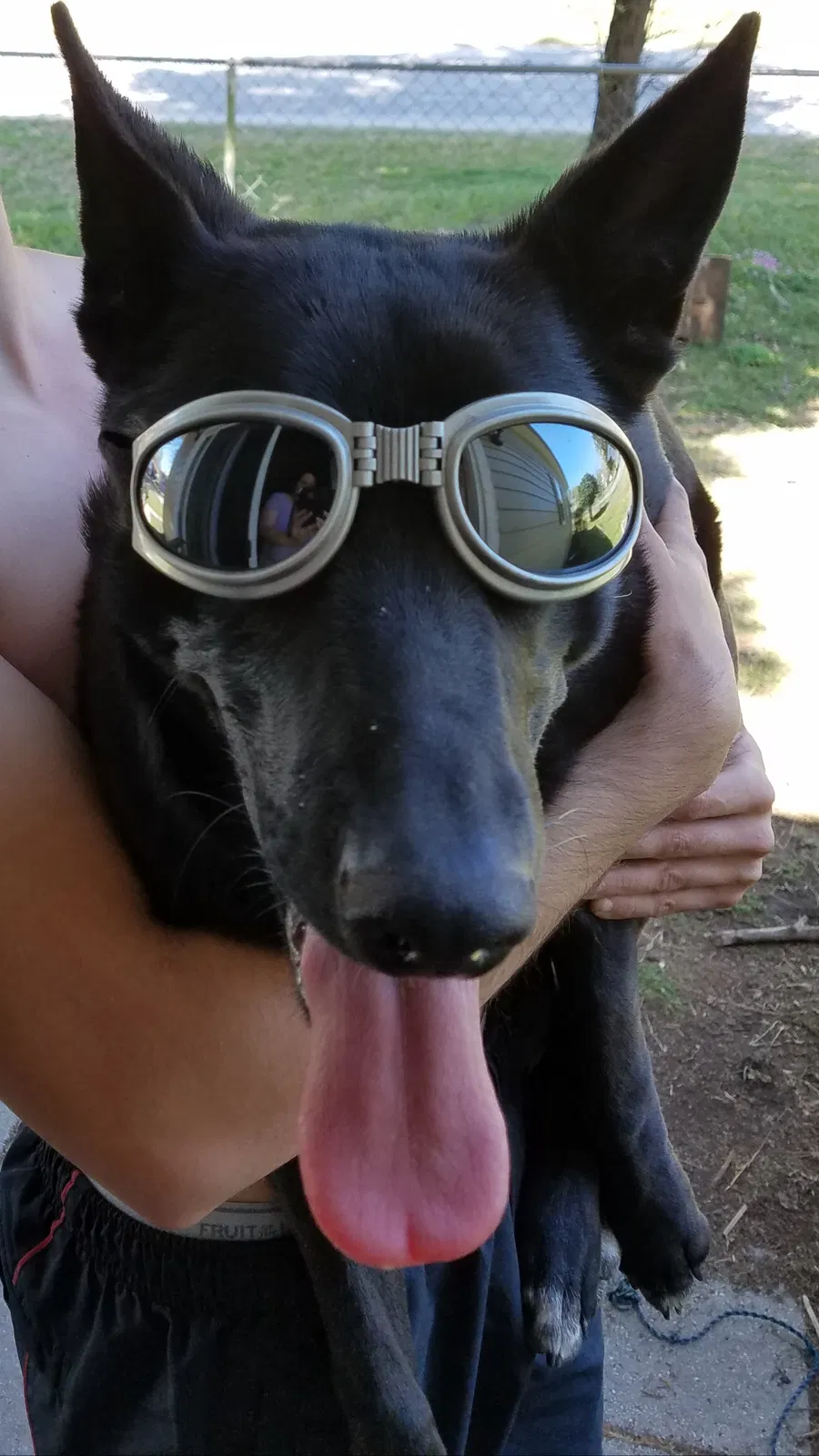 Lost dog in Orrum, NC, 28369