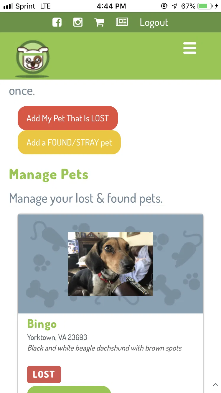 Lost dog in Yorktown, VA, 23693