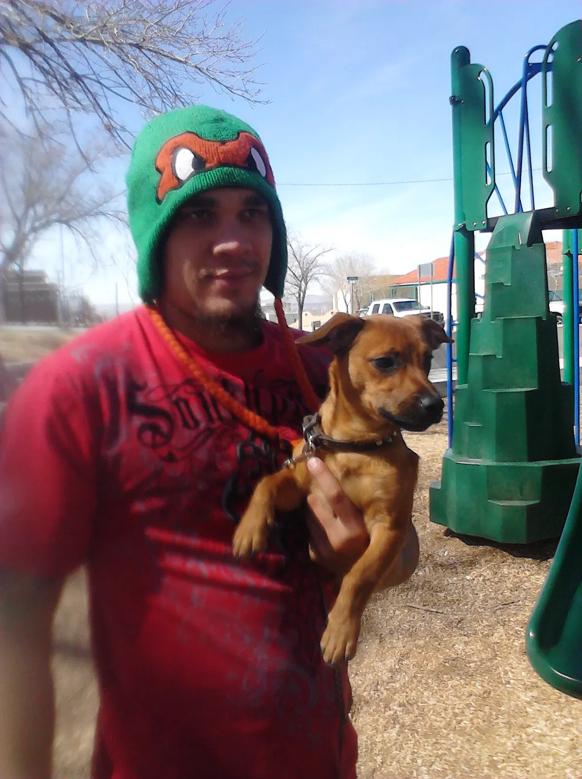 Lost dog in Albuquerque, NM, 87108