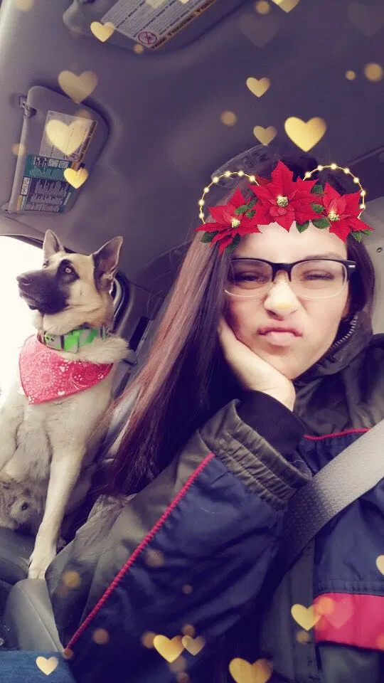 Lost dog in North Royalton, OH, 44133