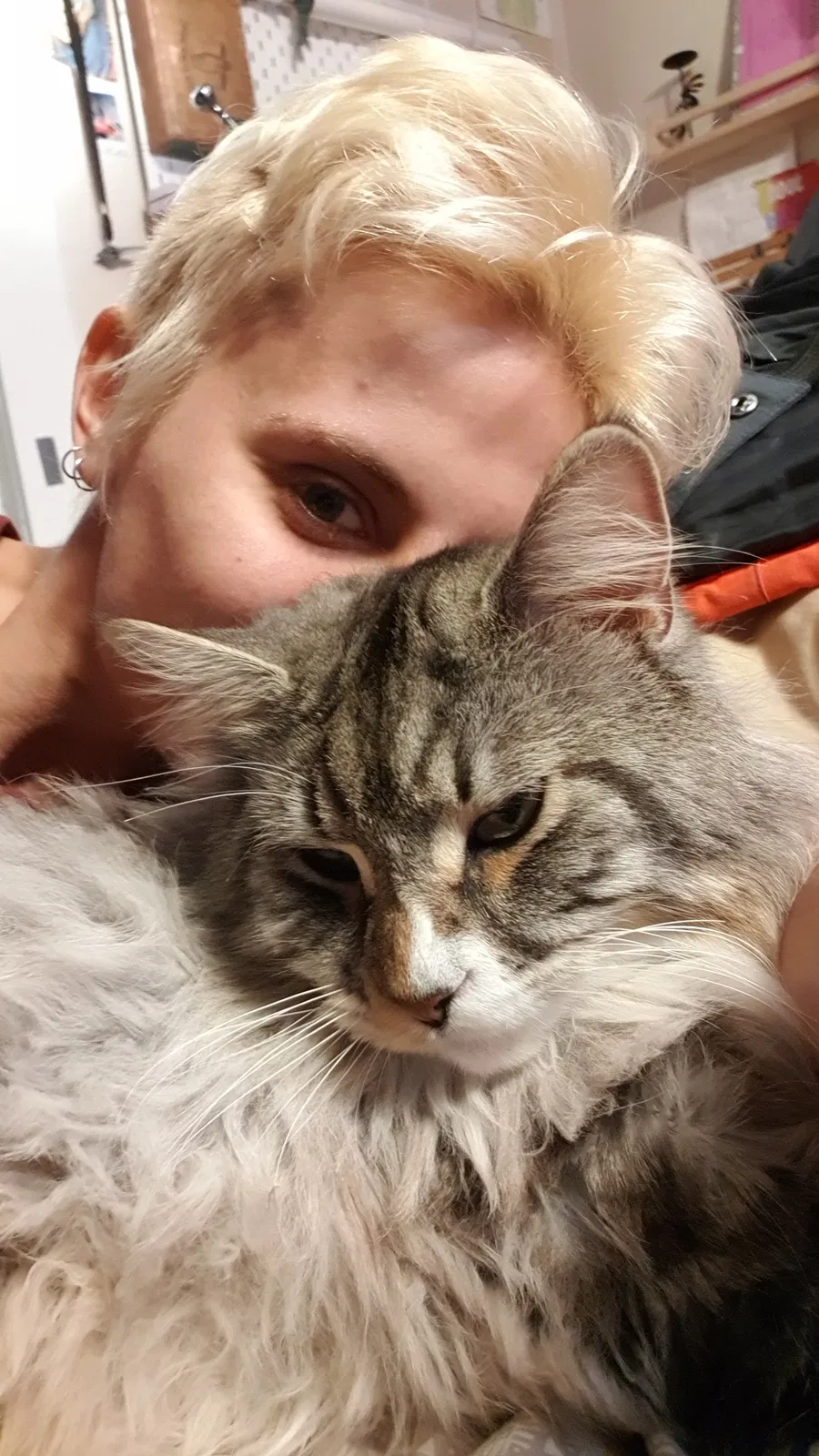 Lost cat in Seattle, WA, 98102