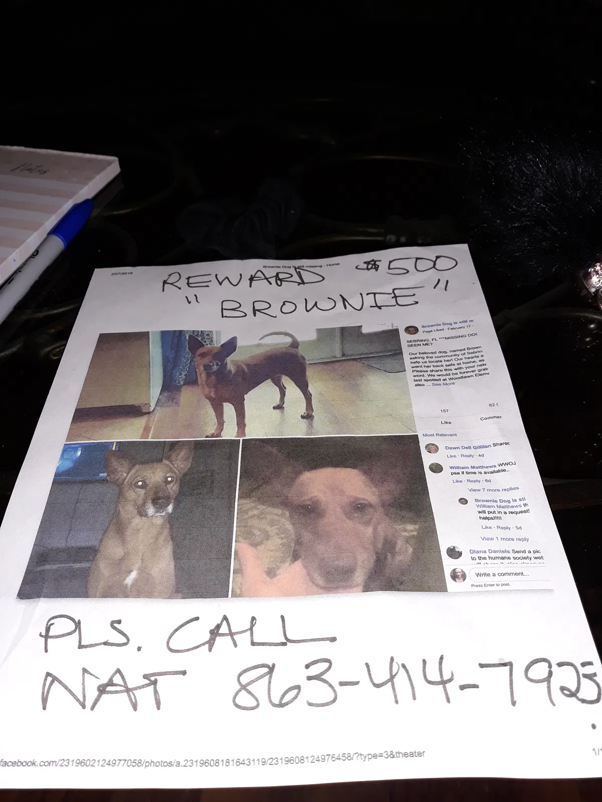 Lost dog in Sebring, FL, 33870