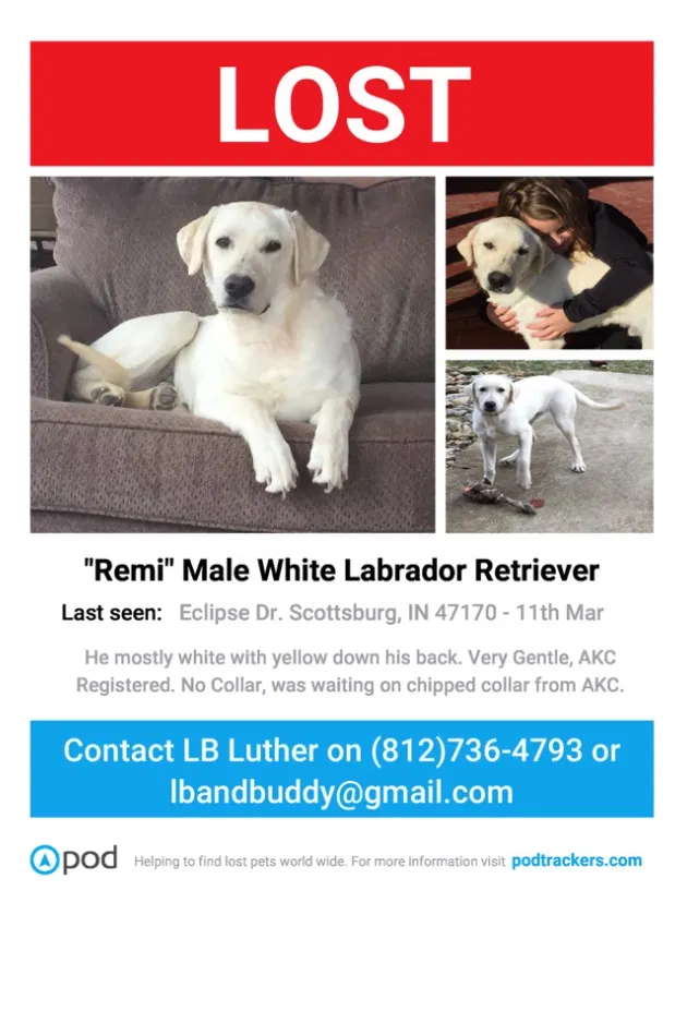 Lost dog in Scottsburg, IN, 47170