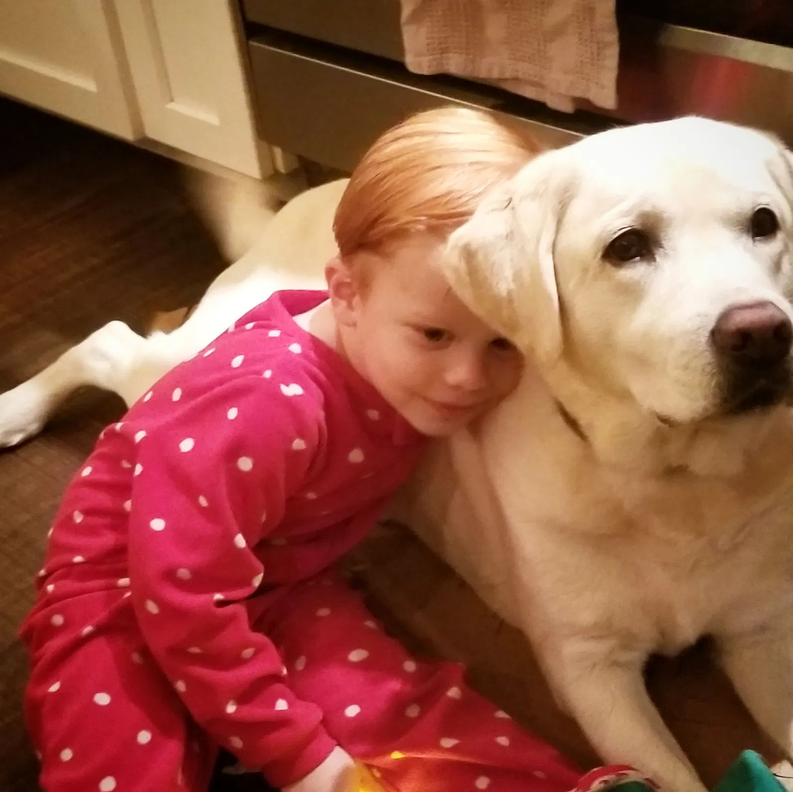 Lost dog in Marshall, MI, 49068