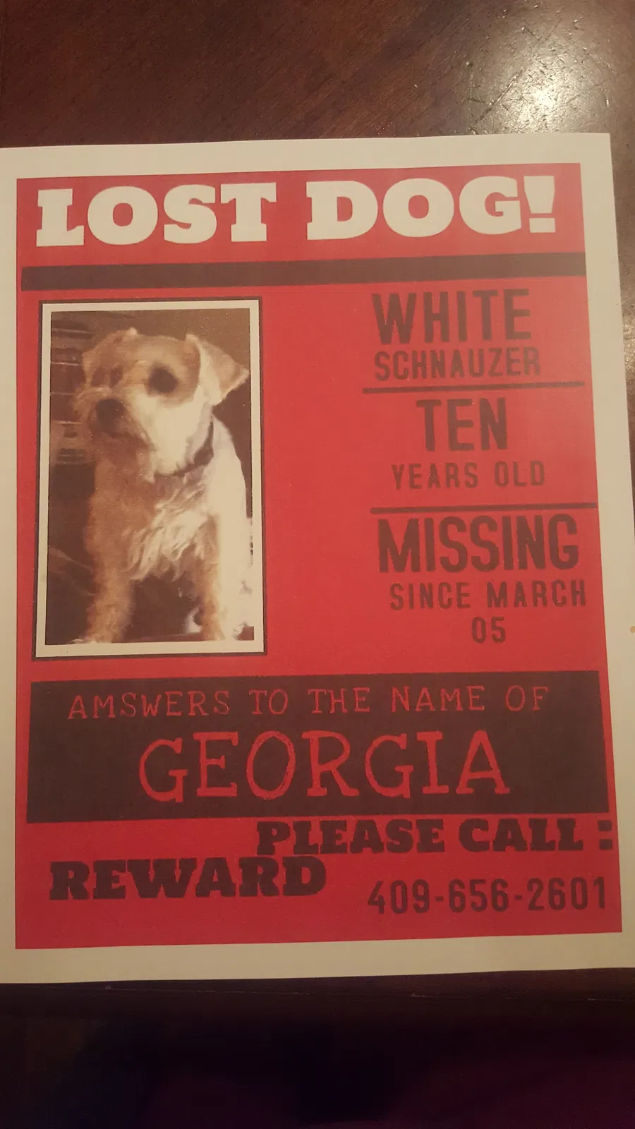 Lost dog in Silsbee, TX, 77656