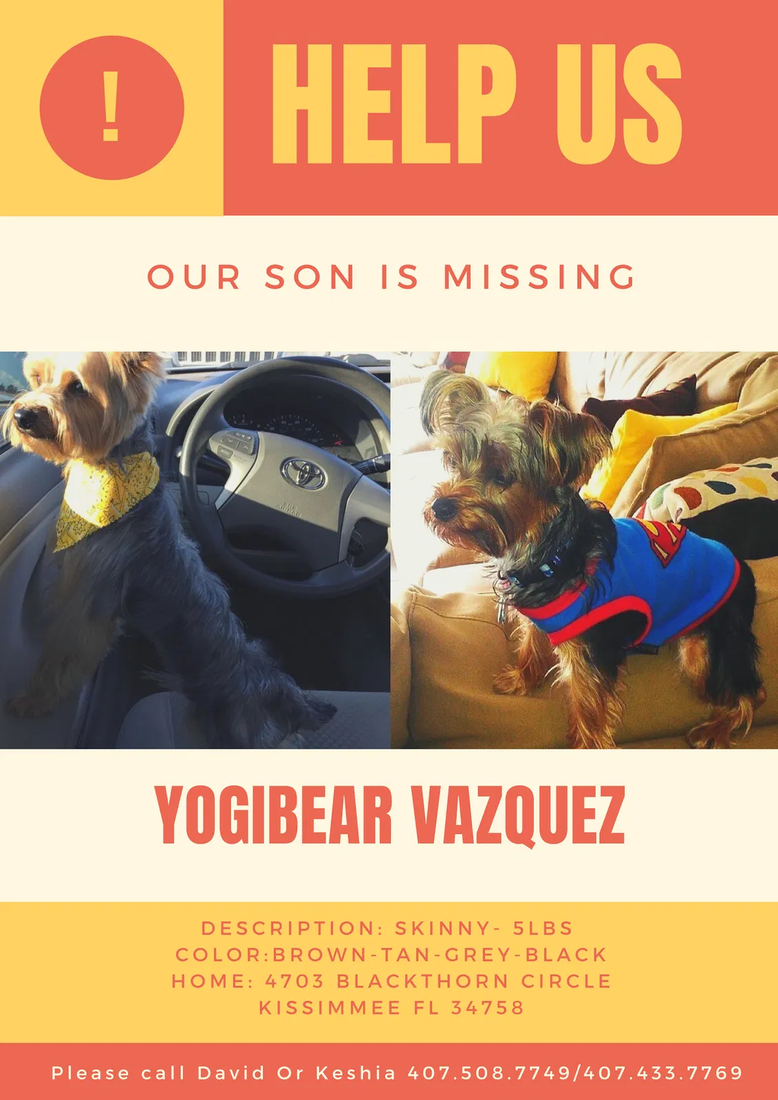Lost dog in Kissimmee, FL, 34758