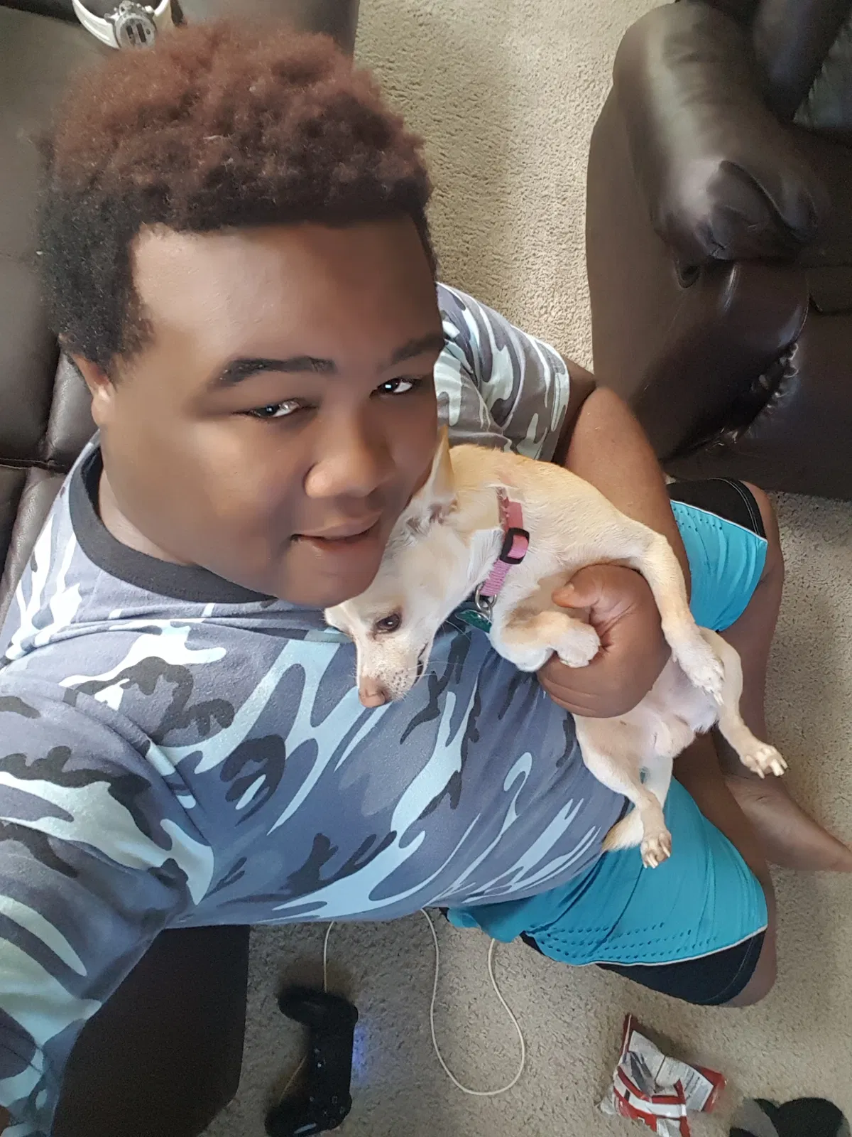 Lost dog in Ocala, FL, 34473