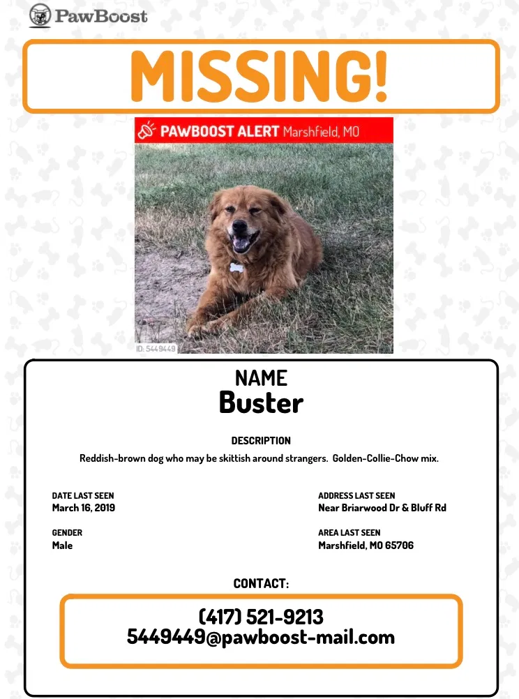 Lost dog in Marshfield, MO, 65706