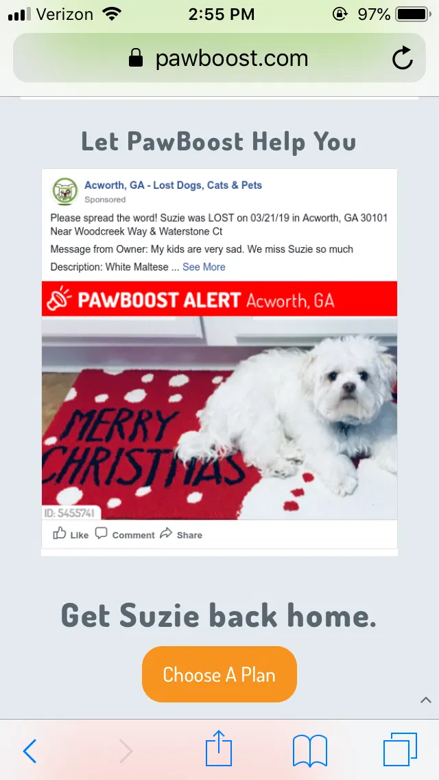 Lost dog in Acworth, GA, 30101