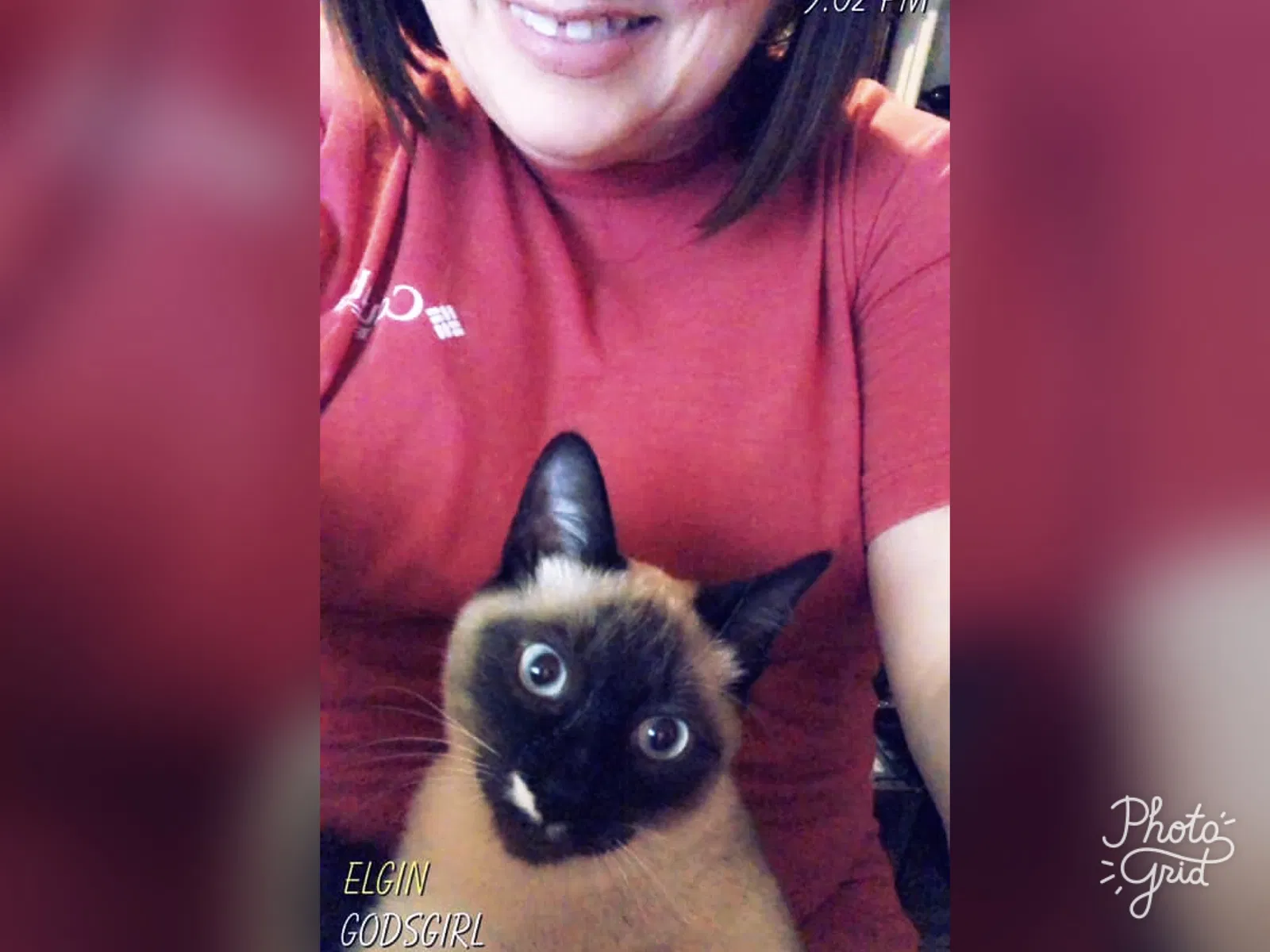 Lost cat in Elgin, SC, 29045