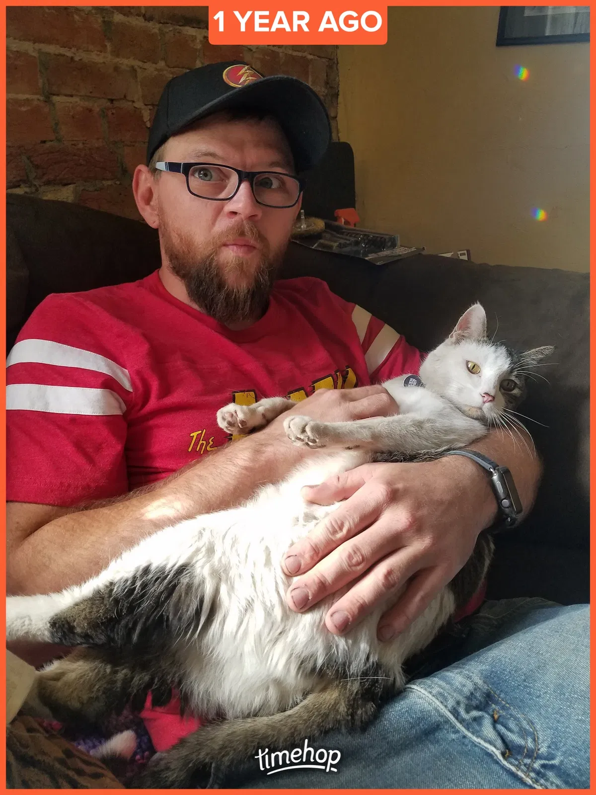 Lost cat in Denver, CO, 80260