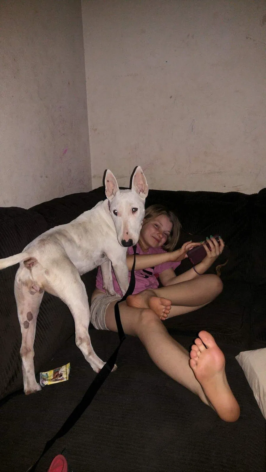 Lost dog in Slidell, LA, 70461