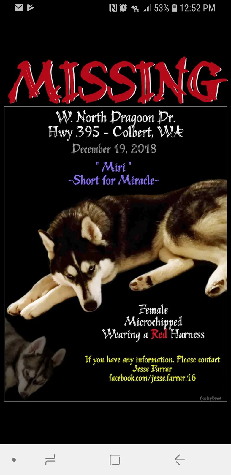 Lost dog in Colbert, WA, 99005