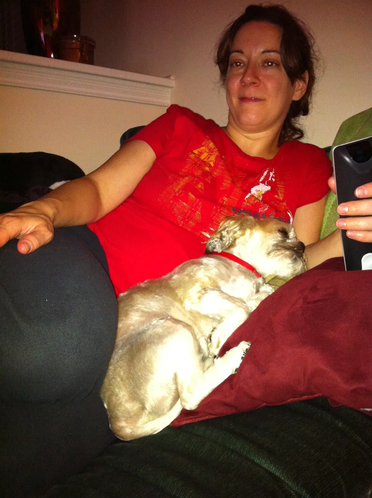 Lost dog in Greenwood, IN, 46143