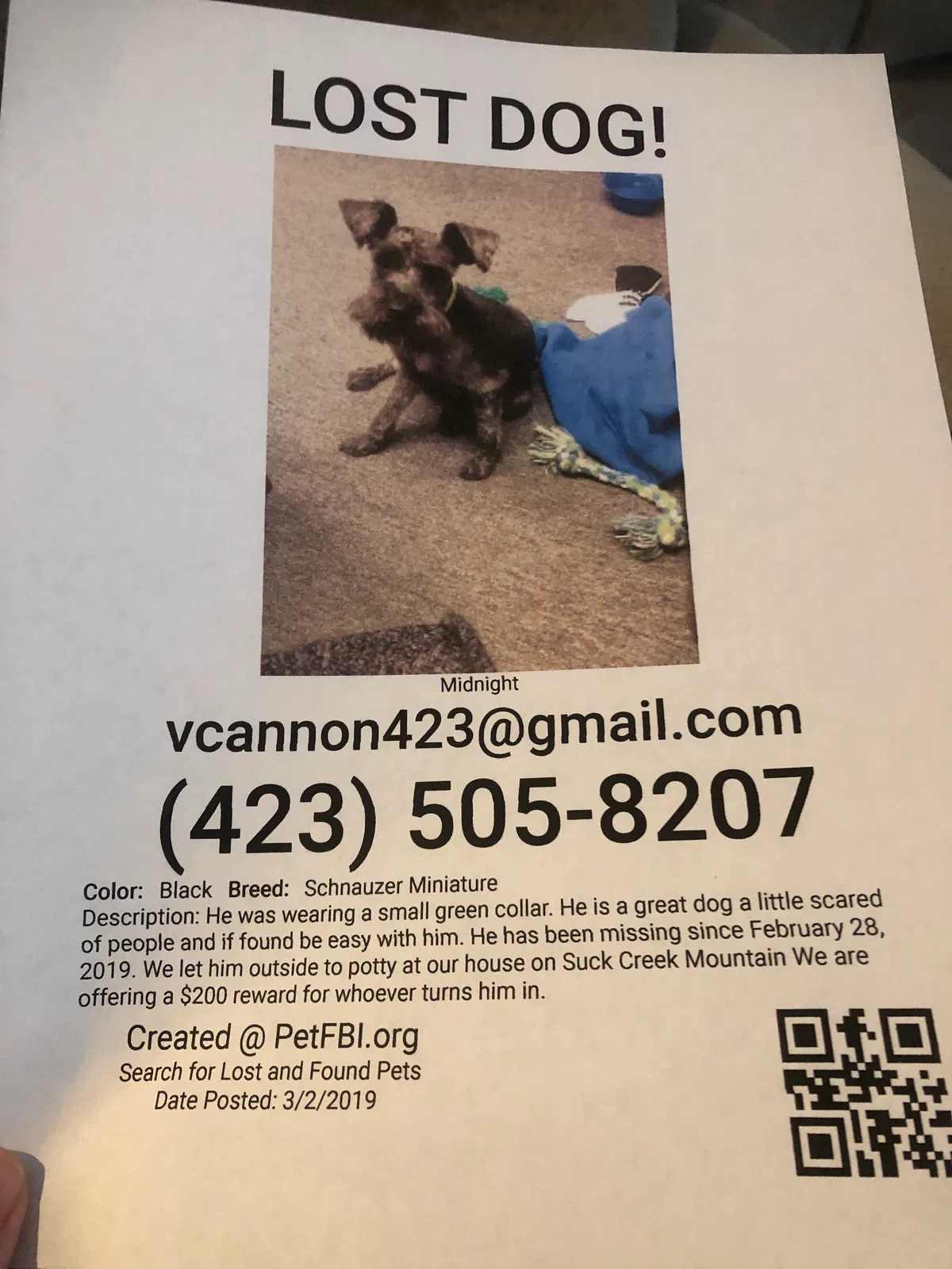 Lost dog in Chattanooga, TN, 37405