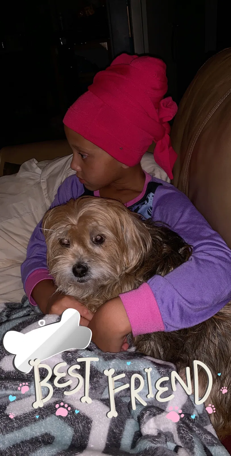 Lost dog in Winter Haven, FL, 33880