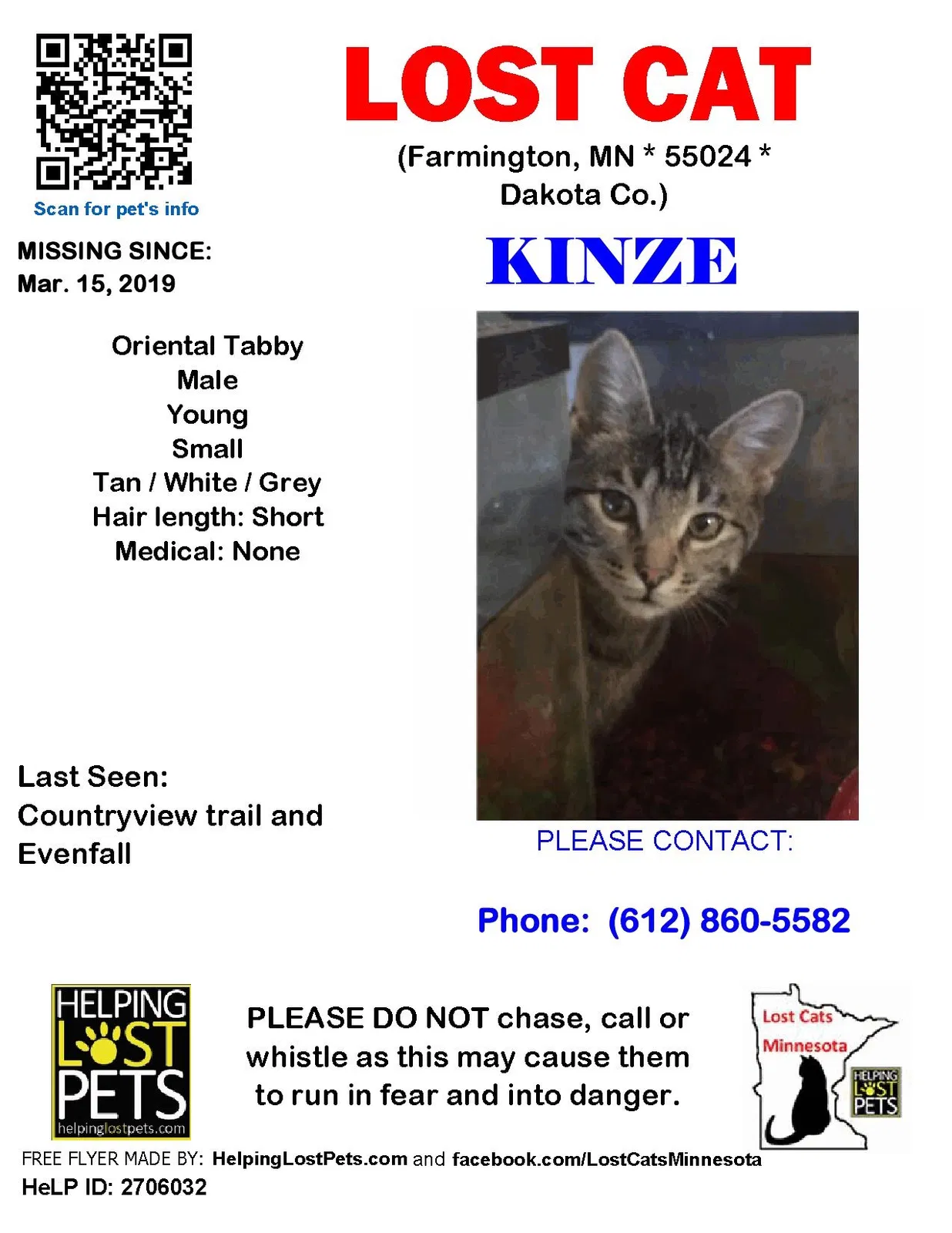 Lost cat in Farmington, MN, 55024