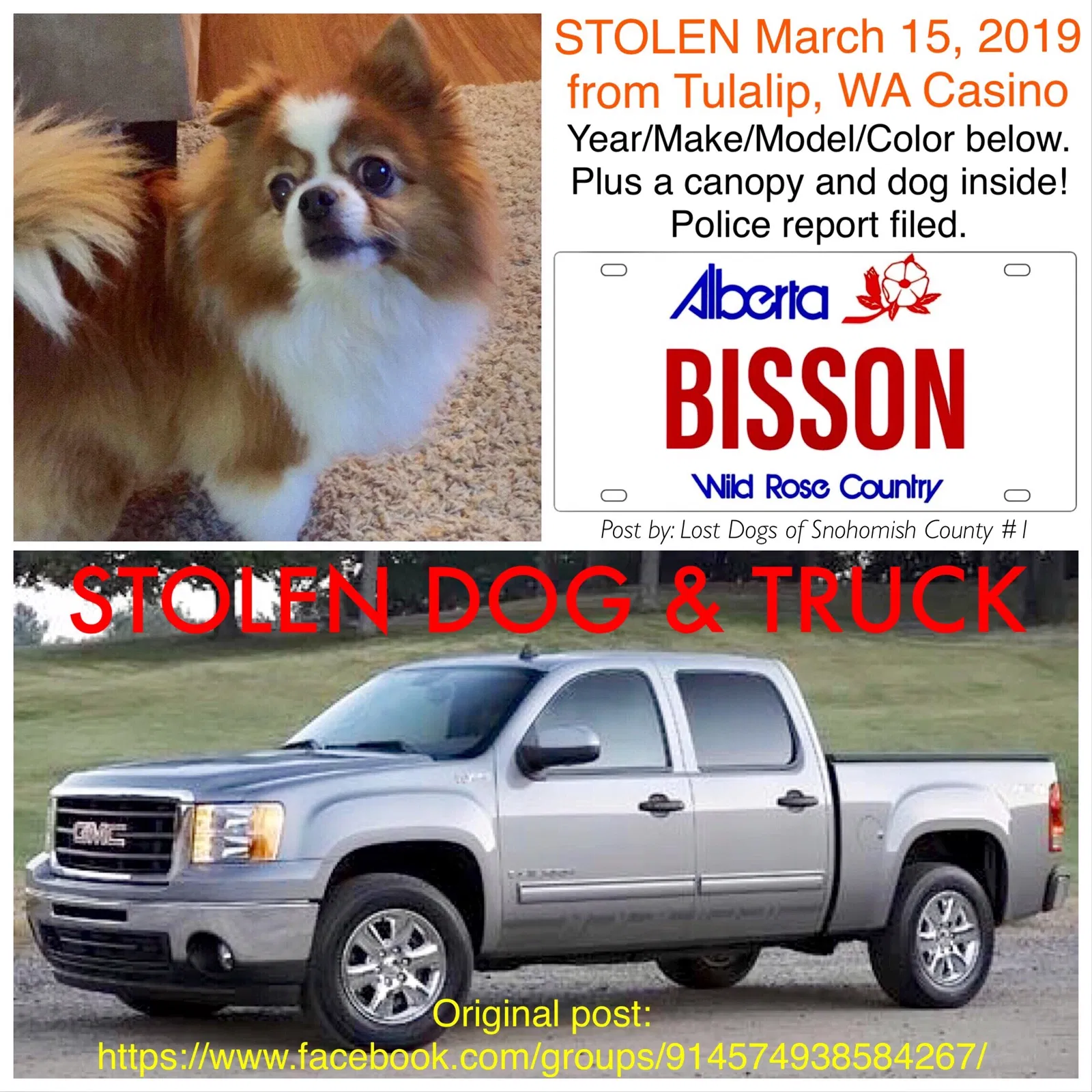 Lost dog in Marysville, WA, 98271
