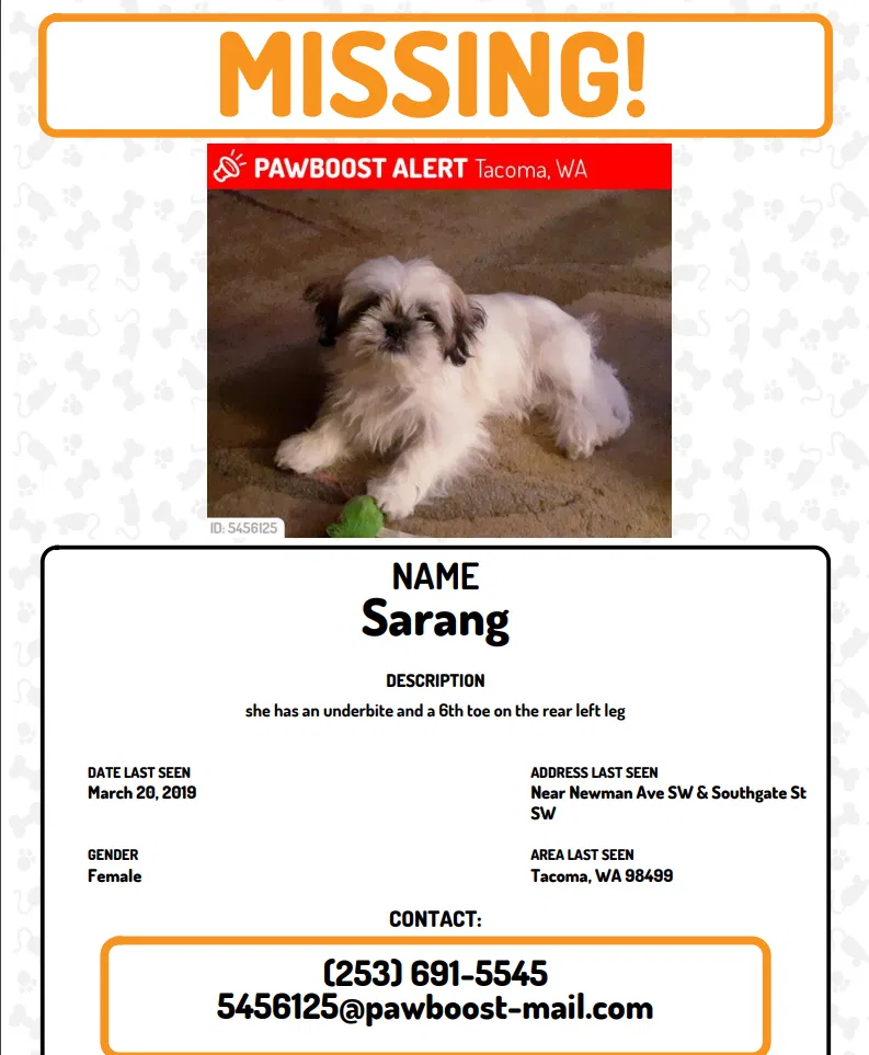 Lost dog in Lakewood, WA, 98499
