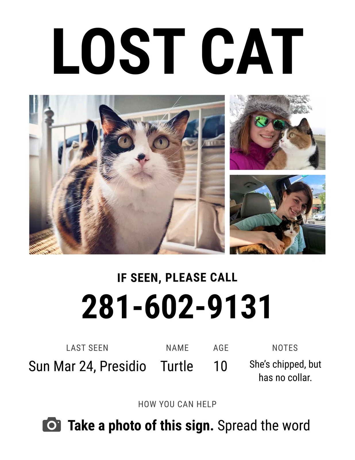 Lost cat in San Francisco, CA, 94129