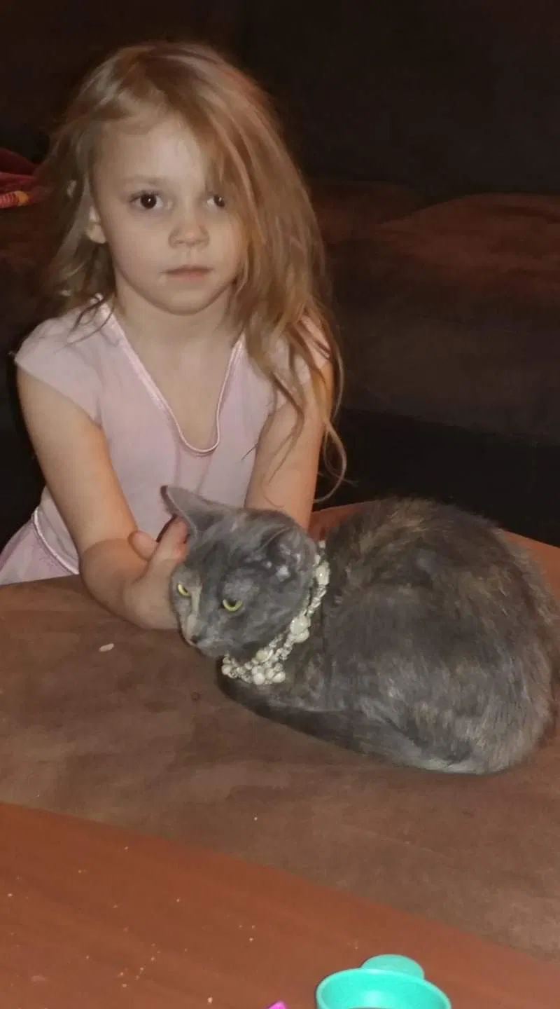 Lost cat in Woodbridge, VA, 22193