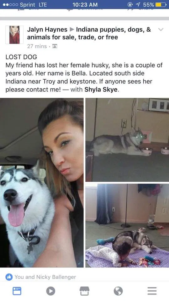 Lost dog in Indianapolis, IN, 46203