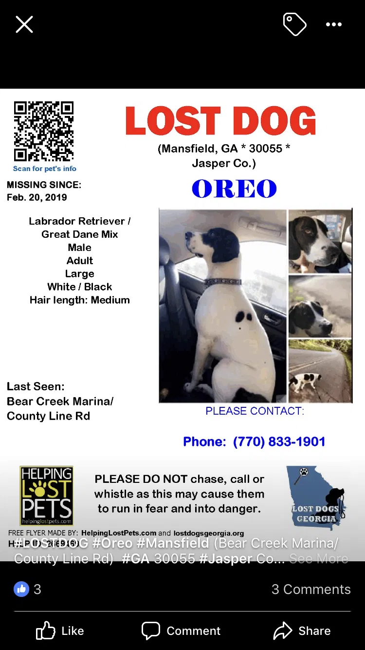 Lost dog in Mansfield, GA, 30055