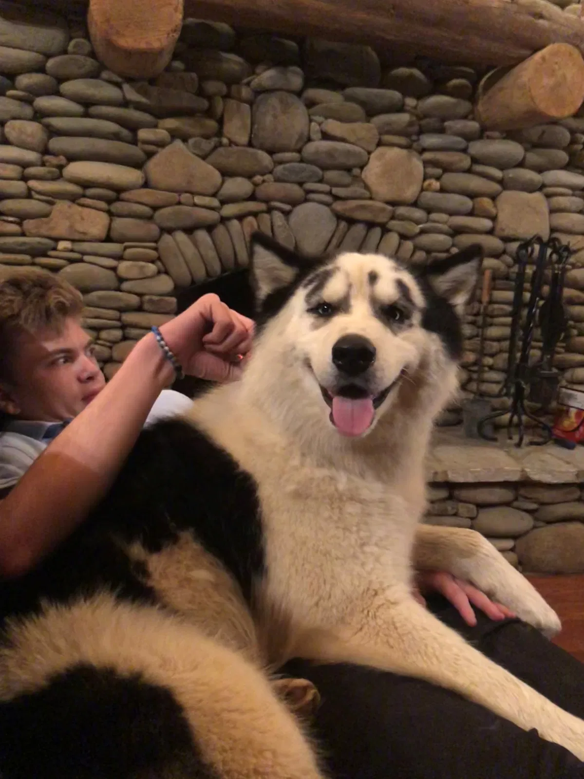 Lost dog in Carrollton, GA, 30116