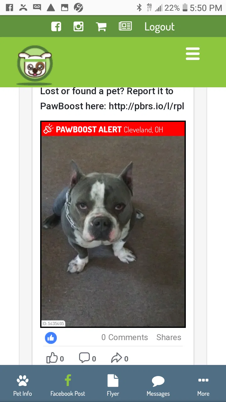Lost dog in Cleveland, OH, 44108