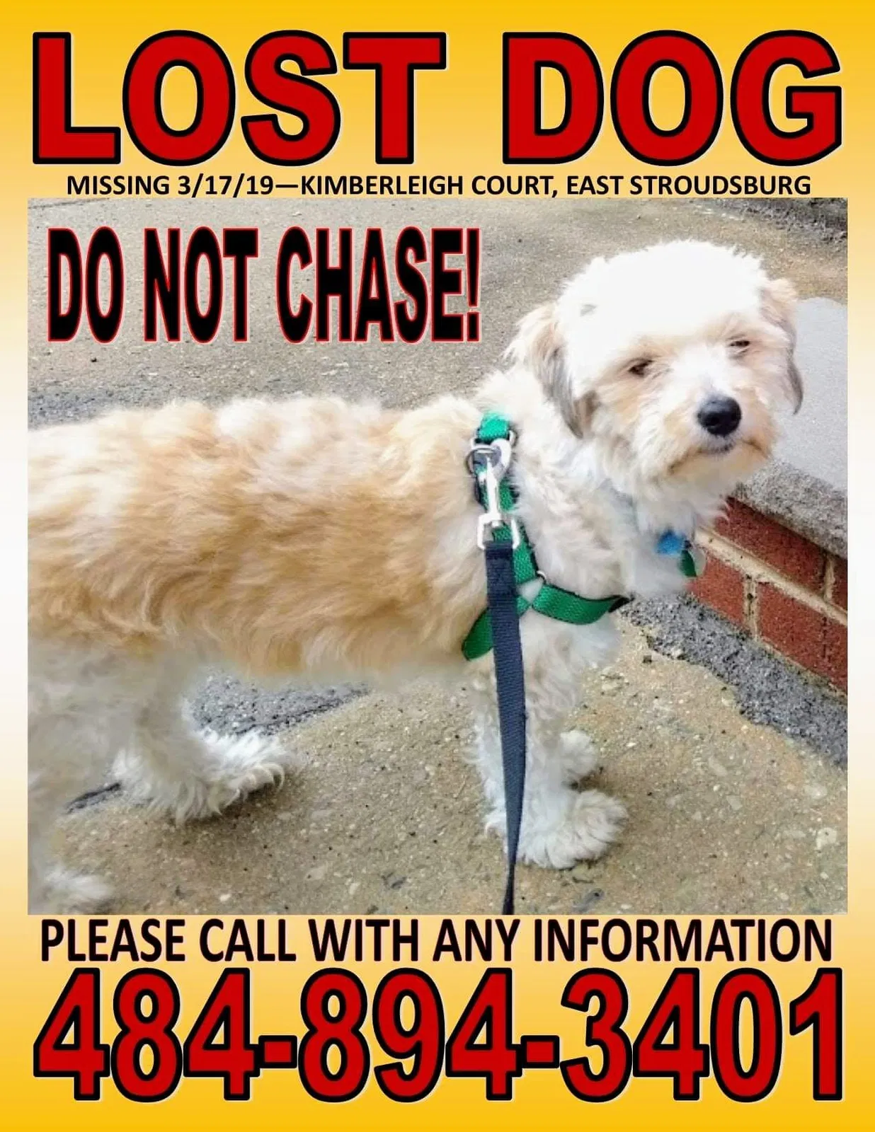 Lost dog in East Stroudsburg, PA, 18301