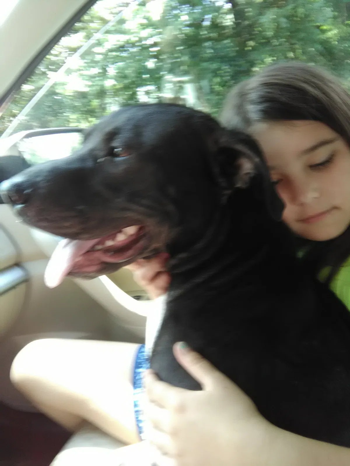 Lost dog in Elberta, AL, 36530
