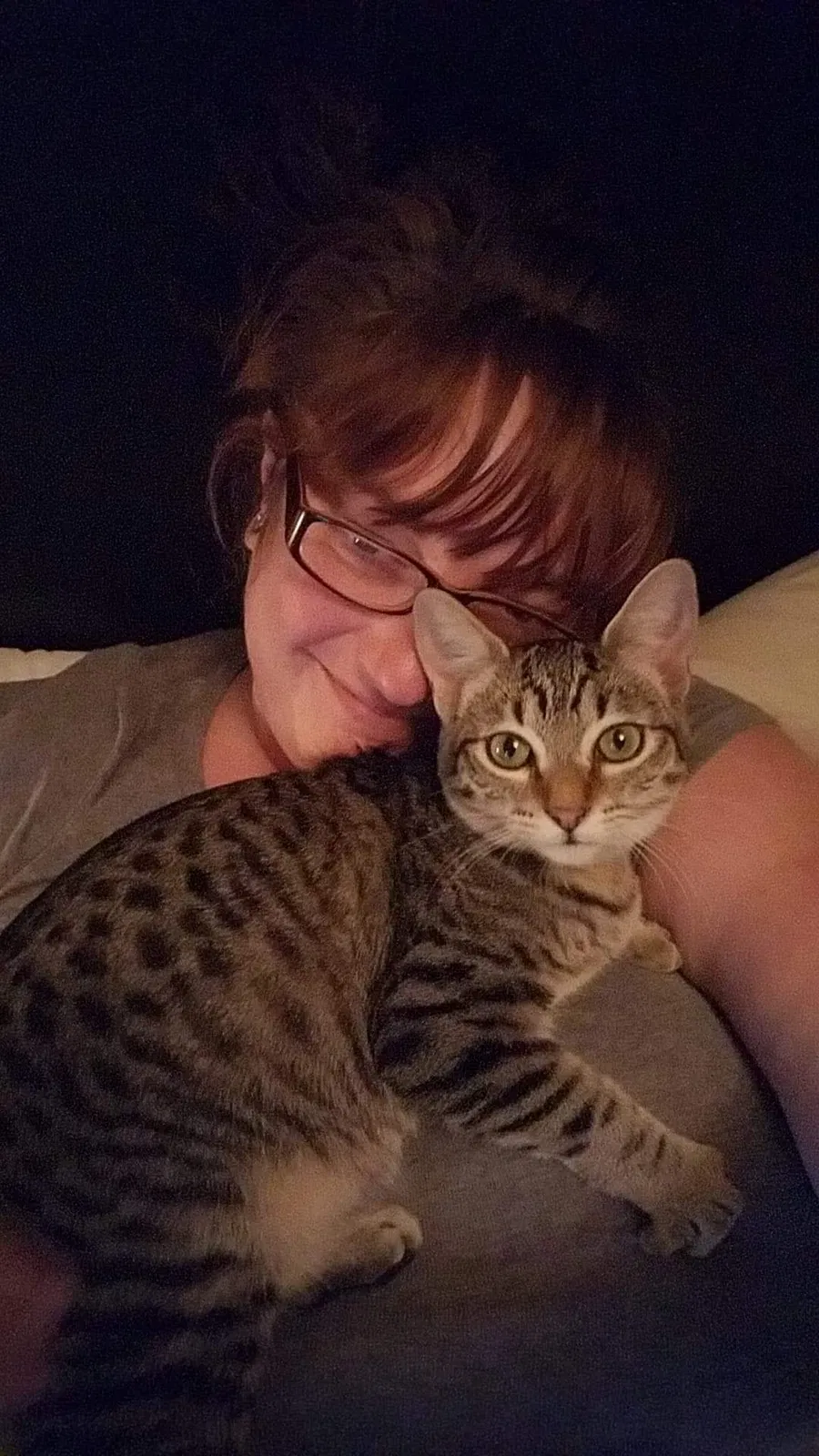 Lost cat in Salem, OR, 97301